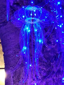 מוזאון המזגגה - מדוזה